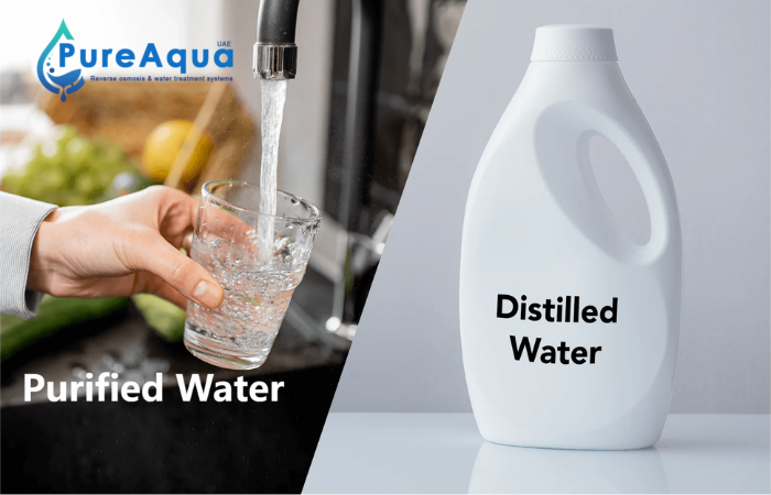 Purified Water vs Distilled Water