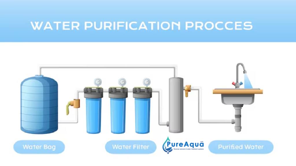 purification process