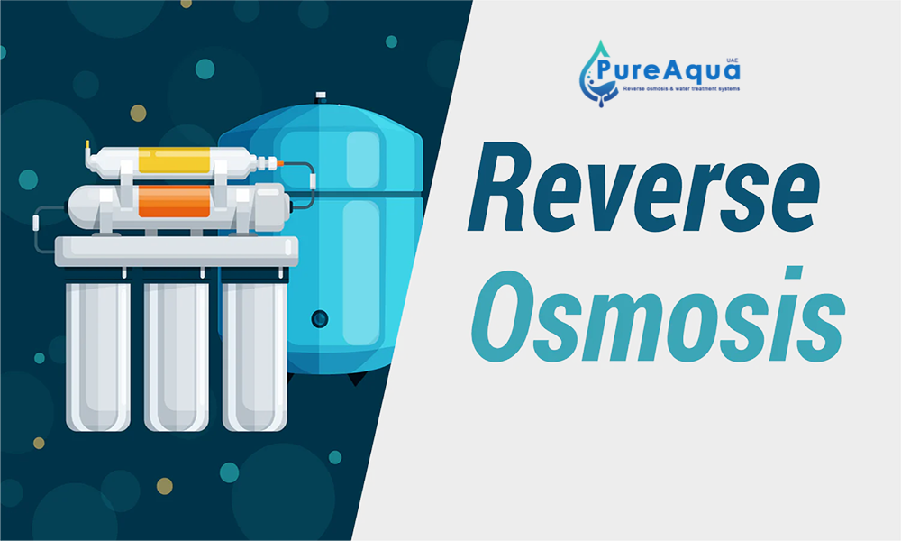 What is Reverse Osmosis (RO) and How Does it Work in Industries?